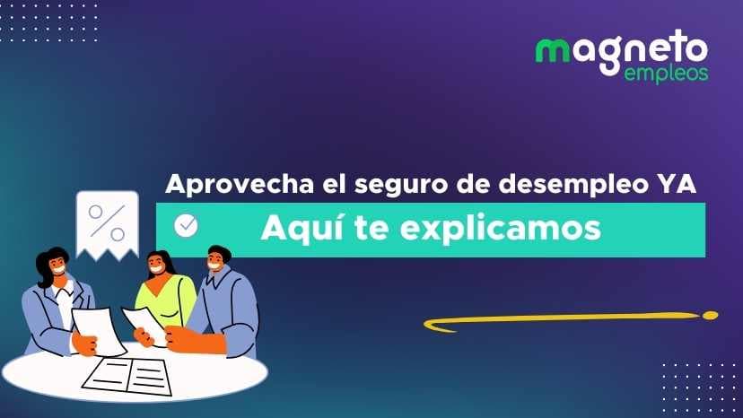 Guía Completa sobre el Seguro de Desempleo