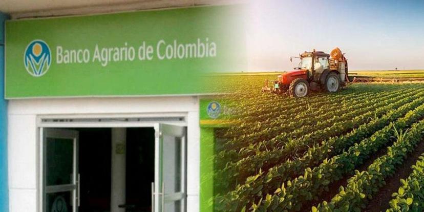 El Banco Agrario tiene más de 90 vacantes para ti