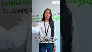poster-video